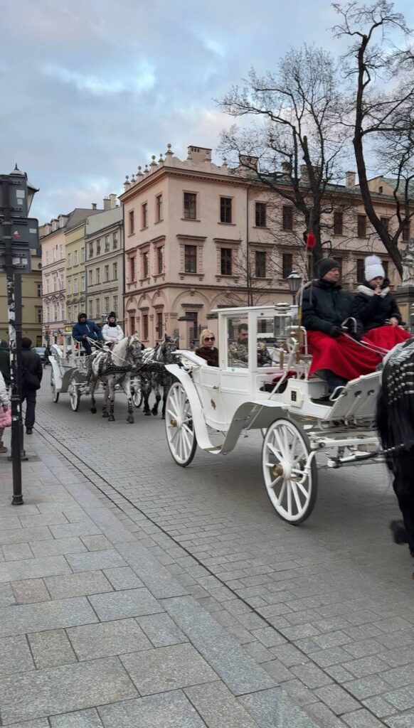 Краків + Польський ДіснейЛенд